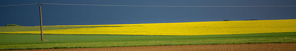 beratung konnerth 04